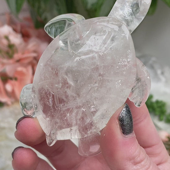 Brazil-Clear-Quartz-Sea-Turtle-Crystal-Carvings-Video