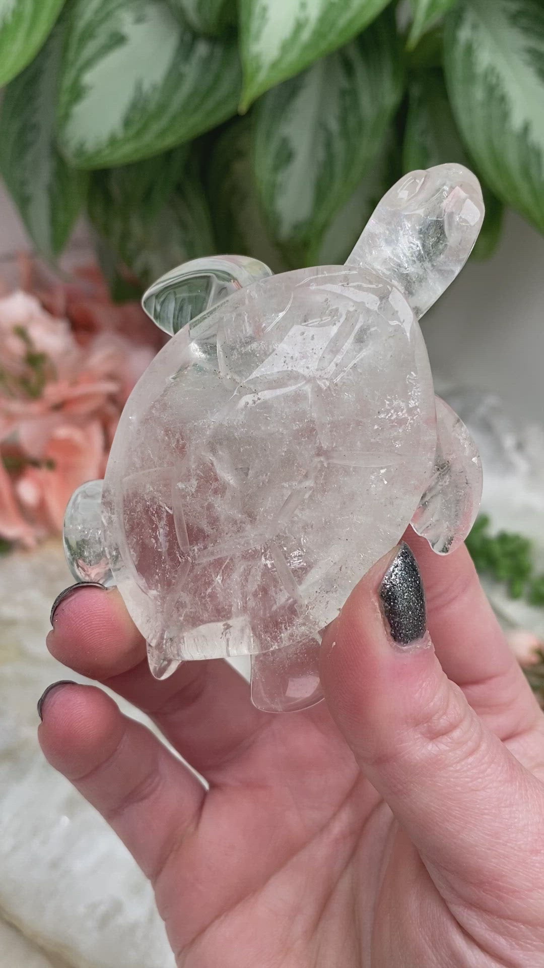 Brazil-Clear-Quartz-Sea-Turtle-Crystal-Carvings-Video