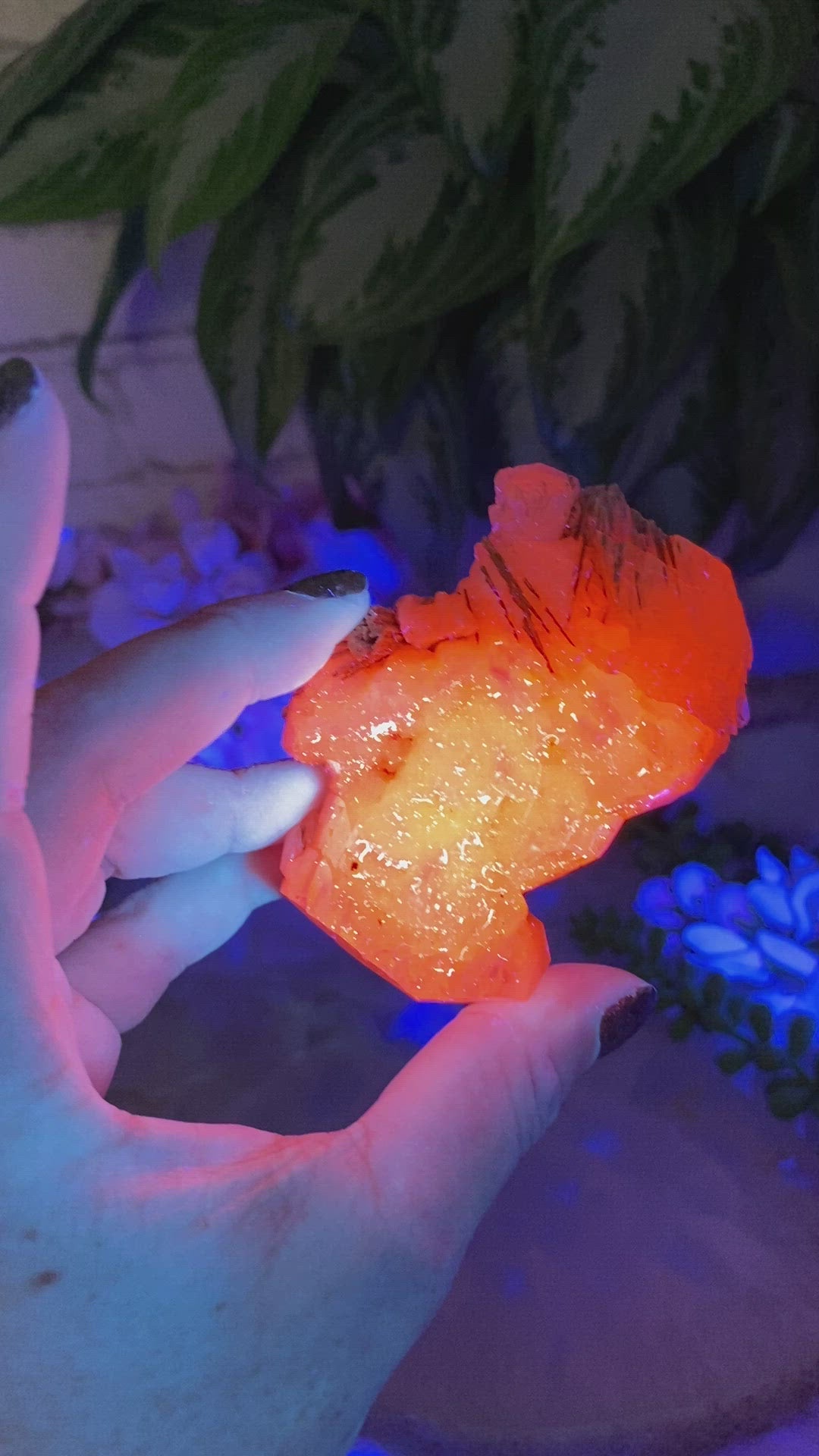 Dalnegorsk-UV-Reactive-Mangano-Calcite-Clusters