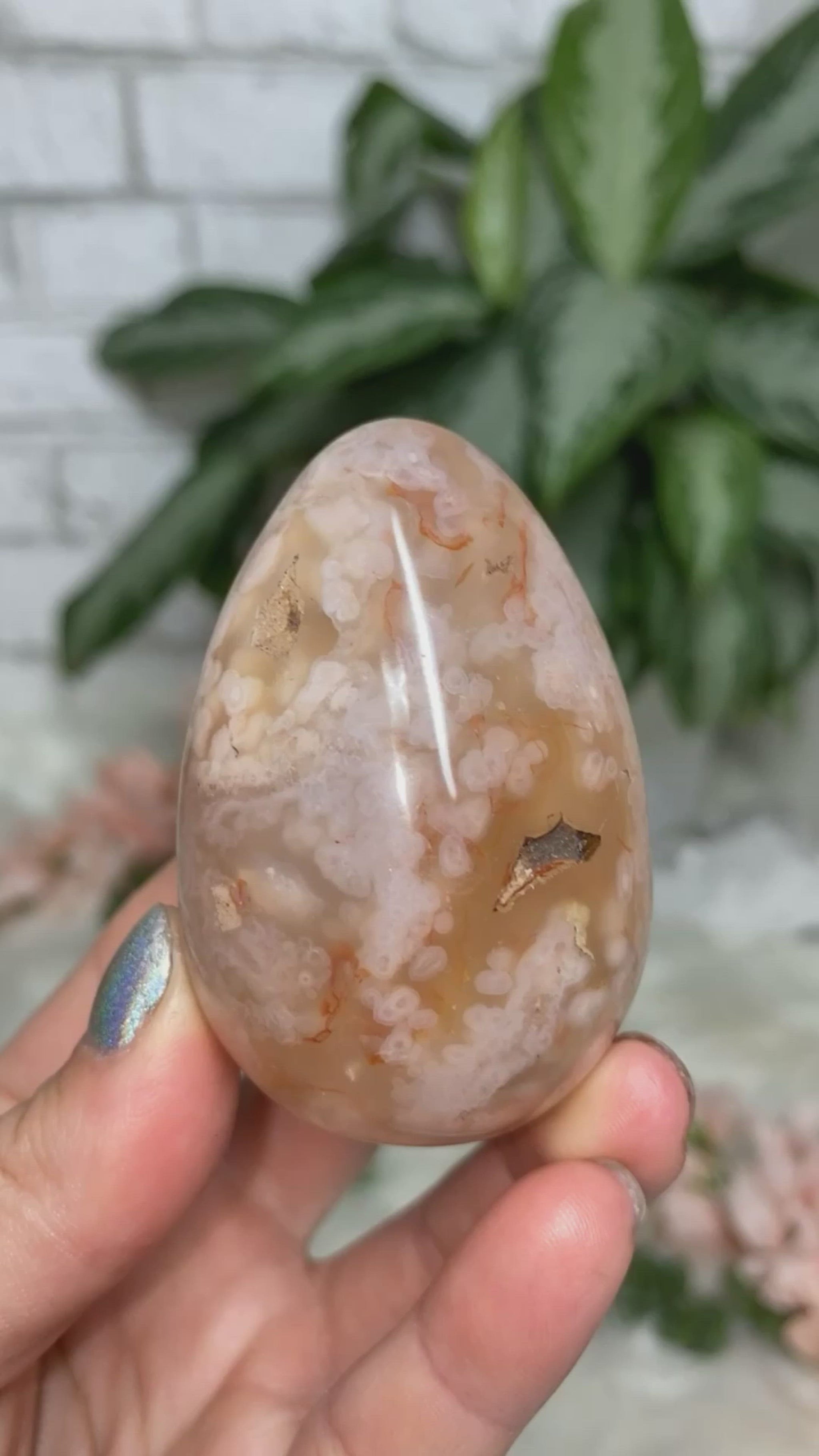 Beautiful little Flower Agate eggs video