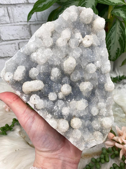 gray-stalactite-cluster