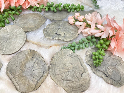 illinois-pyrite-suns