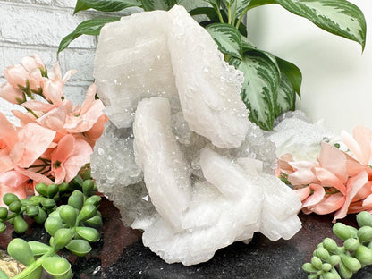     inner-mongolia-blade-calcite