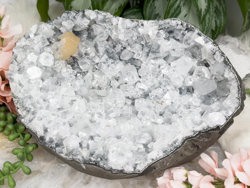 large-apophyllite-geode-crystal