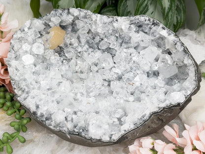 large-apophyllite-geode-crystal