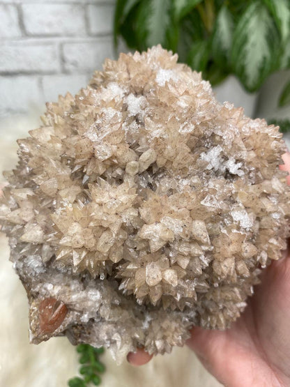 large-dogtooth-calcite-cluster