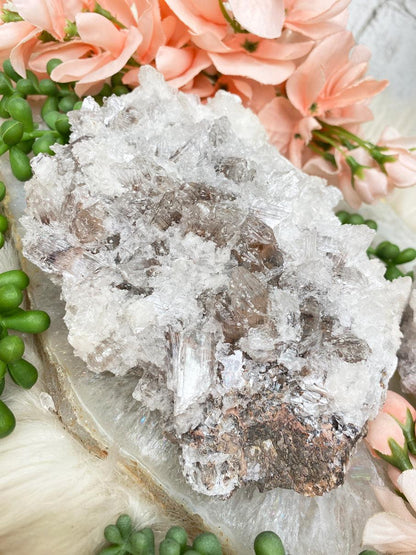 large-mexico-selenite-calcite