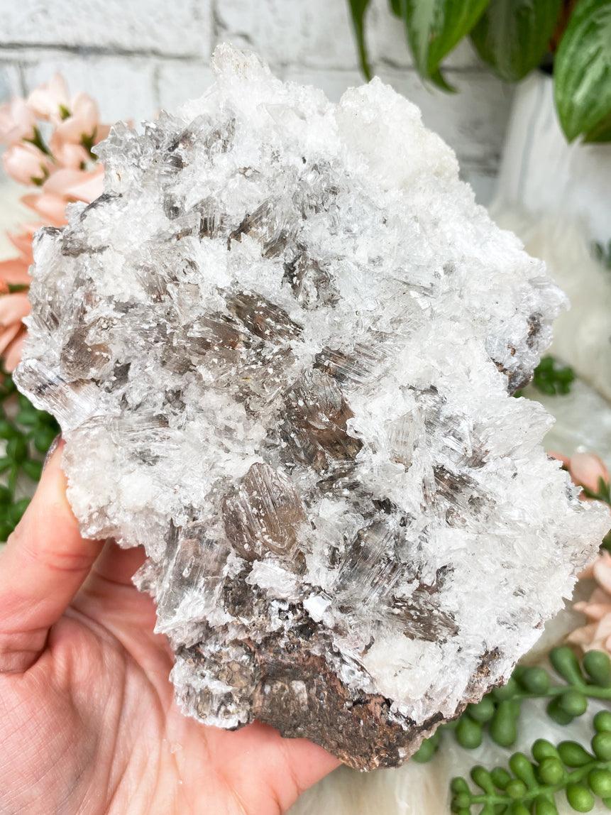 mexico-calcite-selenite