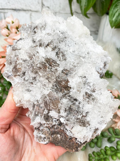 mexico-calcite-selenite