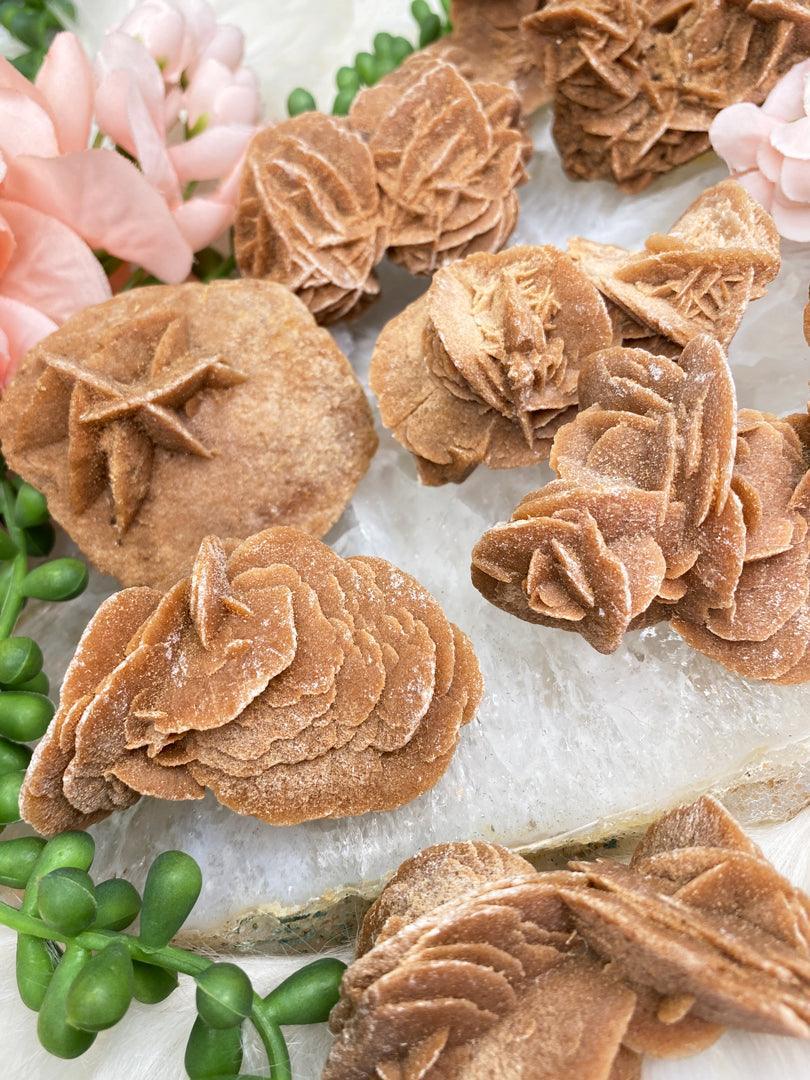 mexico-desert-rose-selenite