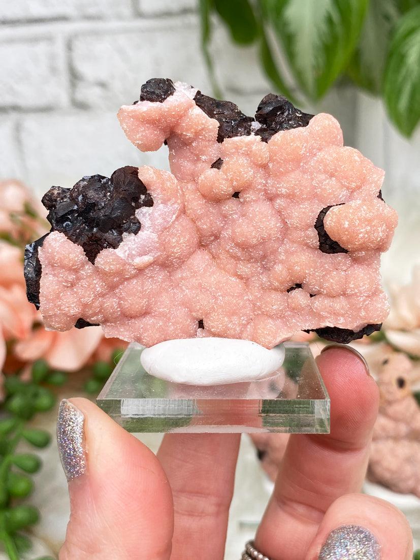 mexico-rhodochrosite-on-matrix
