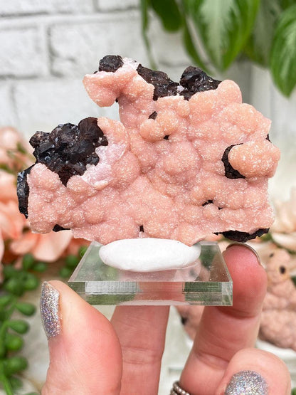 mexico-rhodochrosite-on-matrix