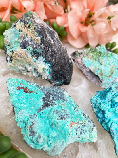 mexico-shattuckite-chrysocolla\