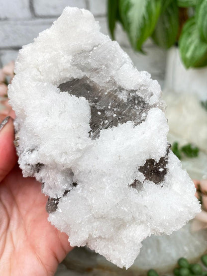 mexico-white-selenite-brown-calcite