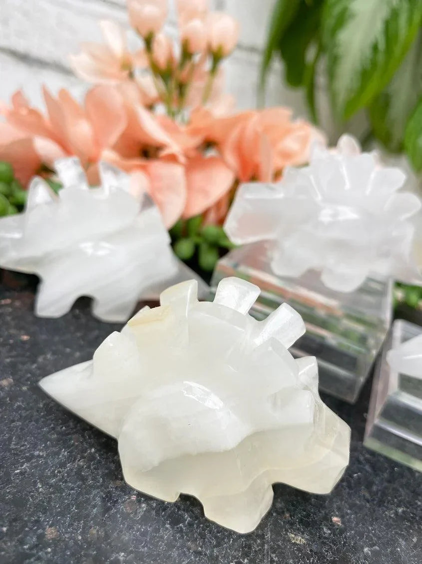 onyx-stegosaurus-crystals