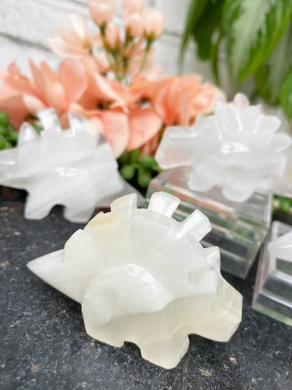 onyx-stegosaurus-crystals