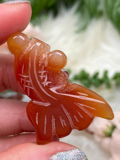 orange-carnelian-fish
