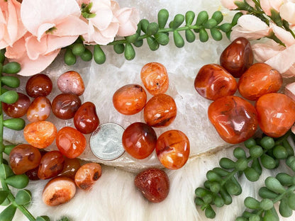 orange-carnelian-tumbles-for-sale