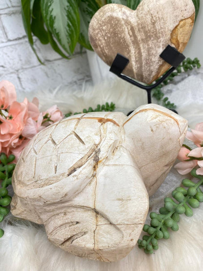 petrified-wood-turtle-and-heart