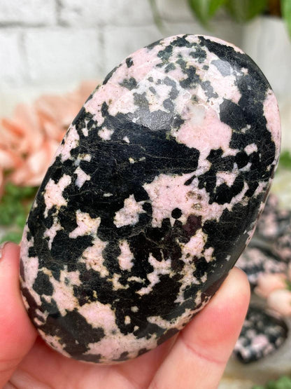 pink-black-jasmine-jasper-palm