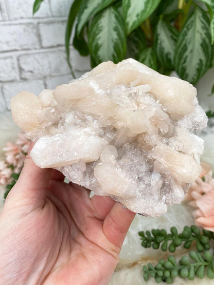 pink-stilbite-cluster