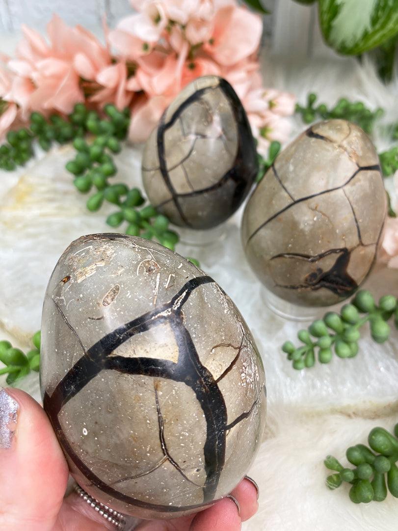 polished-septarian-egg