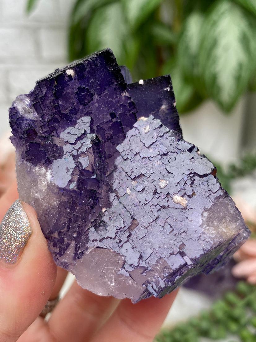 purple-musquiz-fluorite