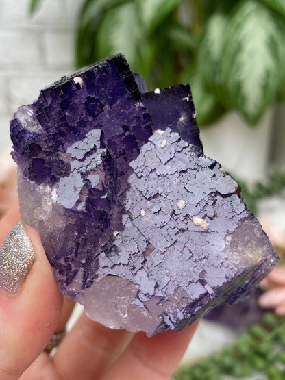 purple-musquiz-fluorite