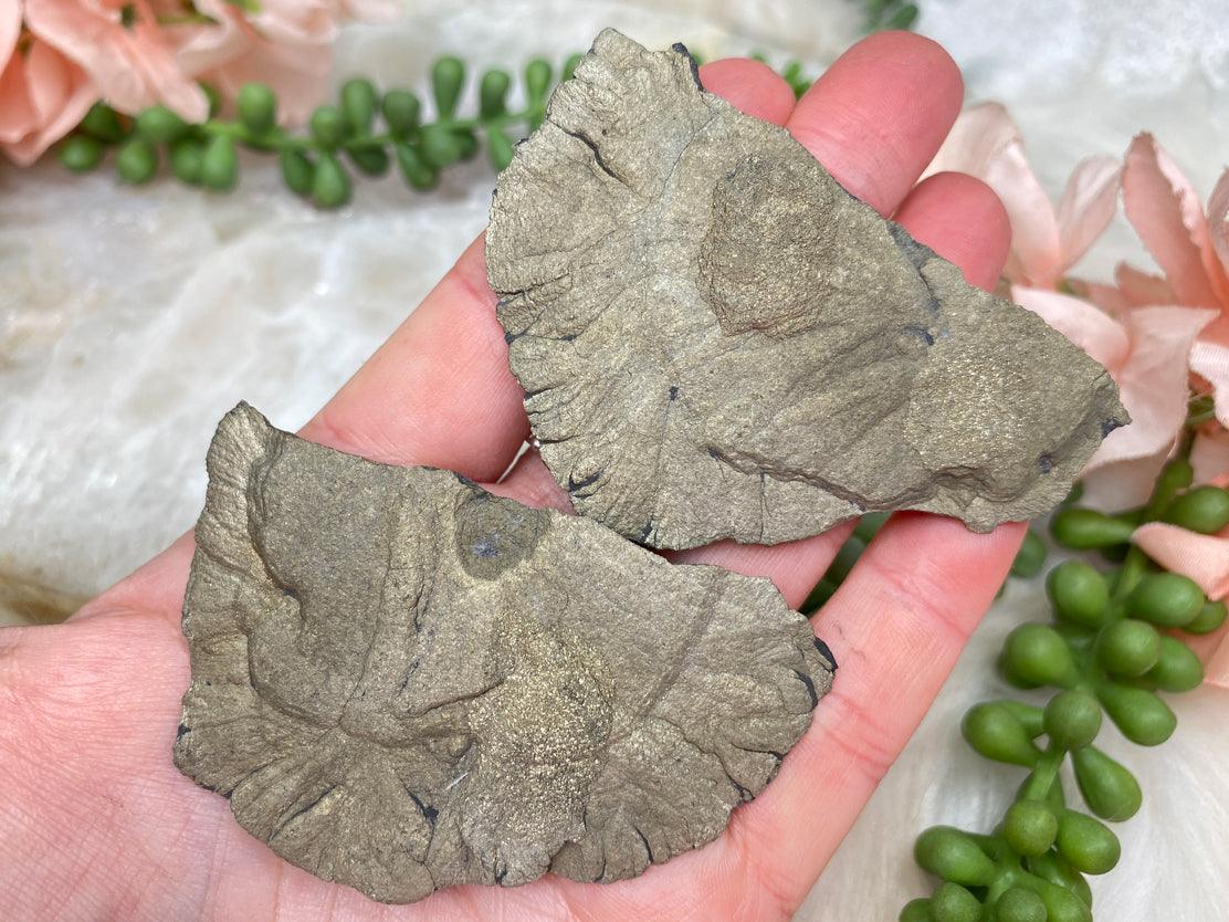 pyrite-sun-fragments