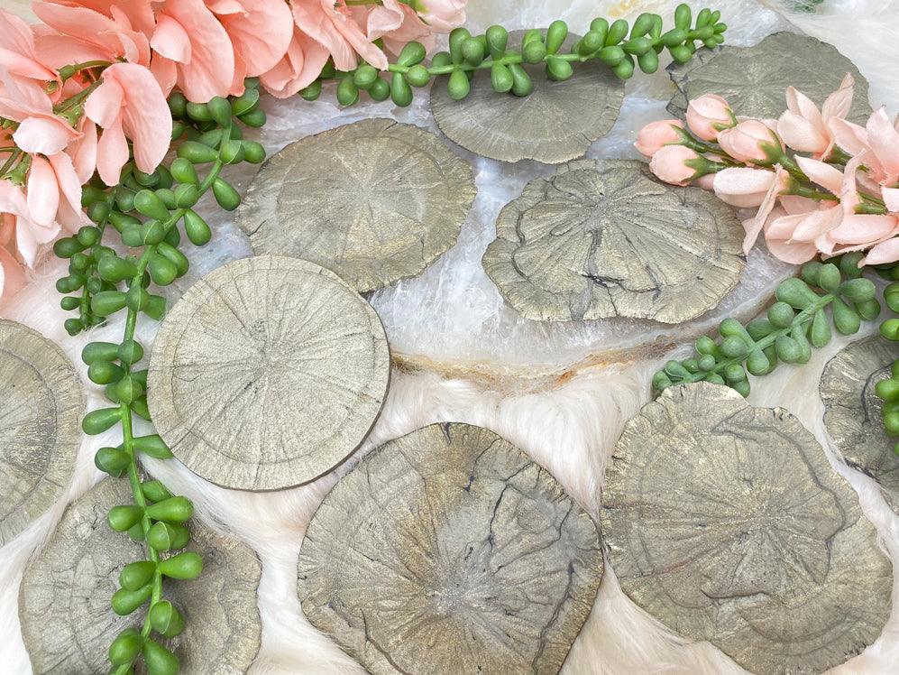 pyrite-suns-from-illinois