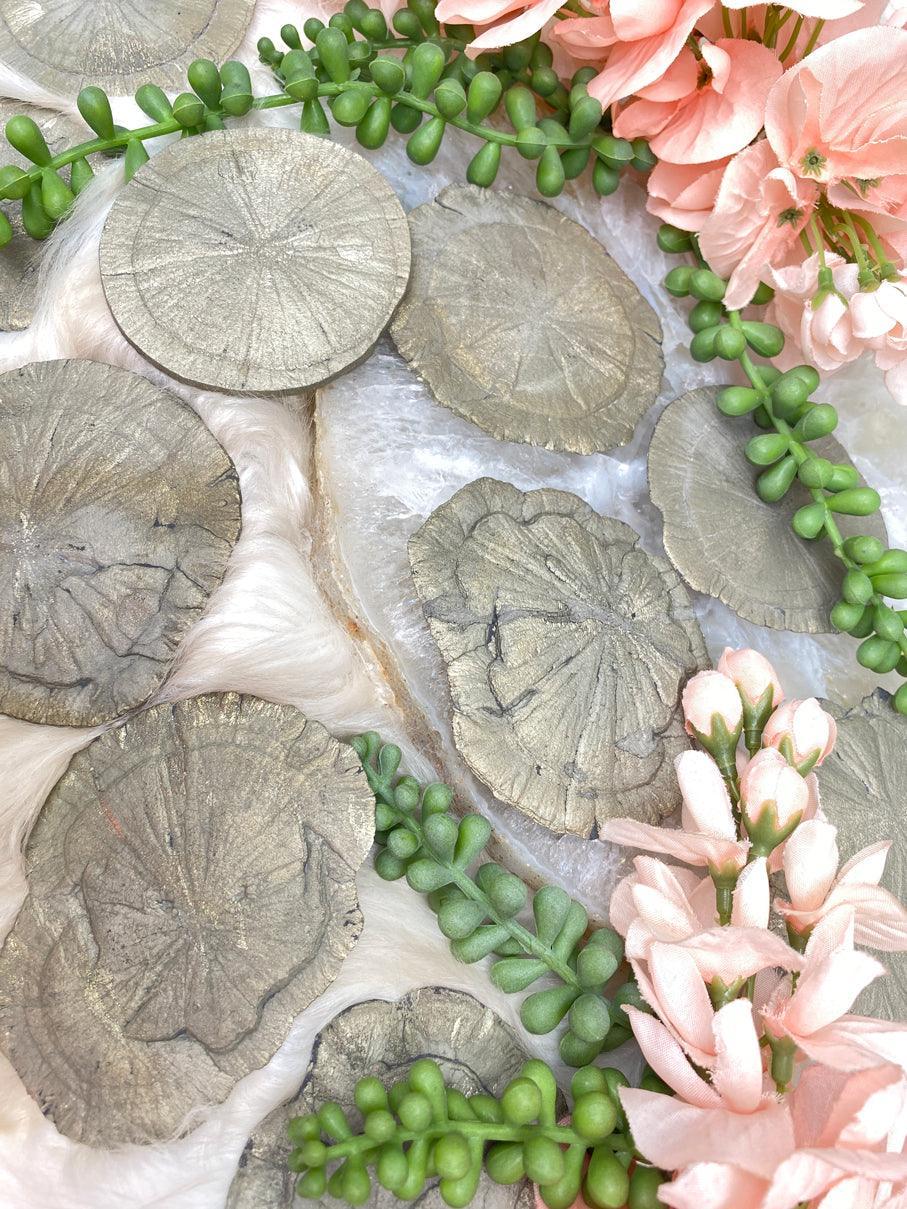 pyrite-suns-illinois