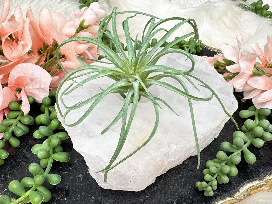 cheap crystals for sale