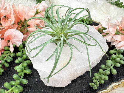 cheap crystals for sale