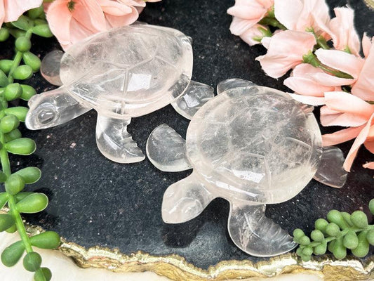    quartz-sea-turtles