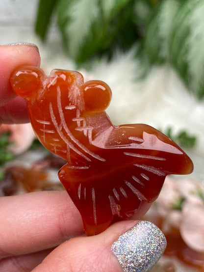 red-orange-carnelian-fish