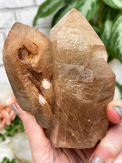 rutilated-quartz-twin-point