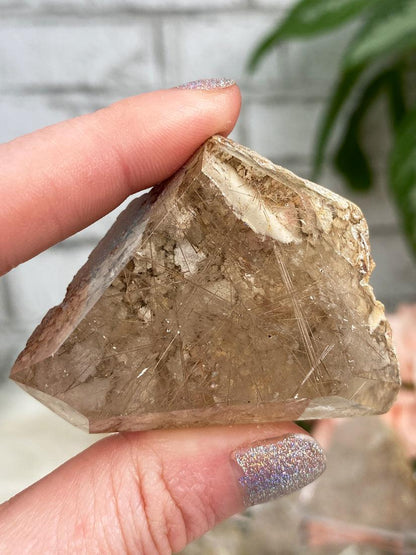 rutile-in-tan-garden-quartz