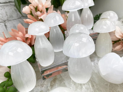 selenite-mushroom