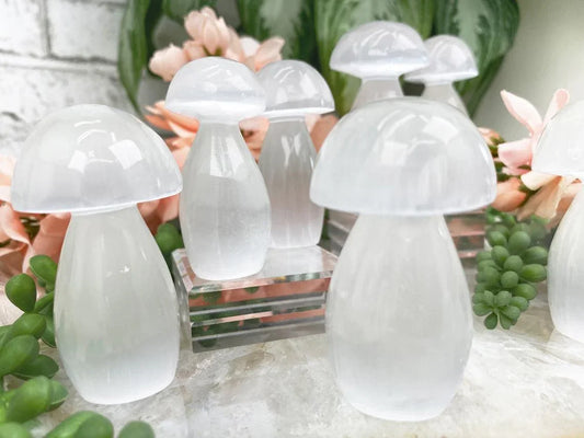     selenite-mushrooms