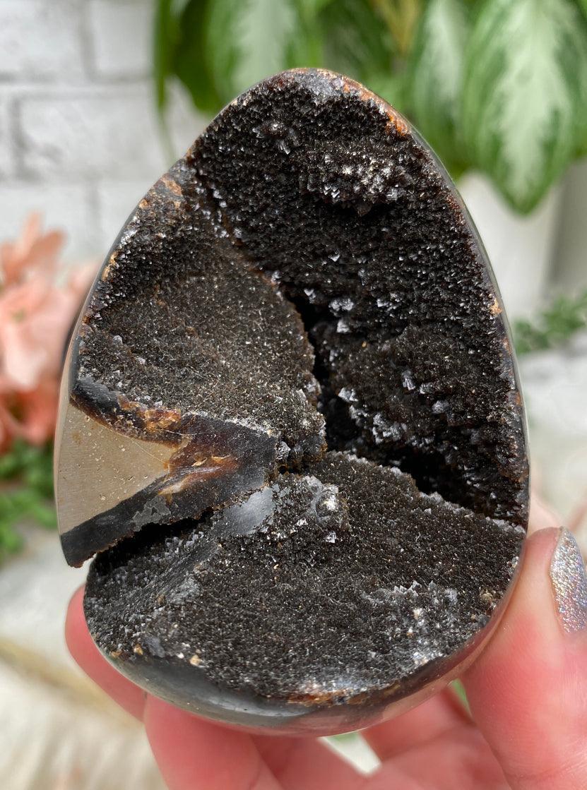 septarian-egg-for-sale