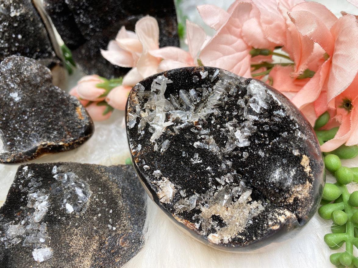 septarian-eggs-and-pieces