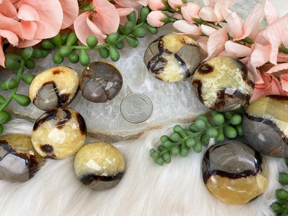   septarian-tumble-stone