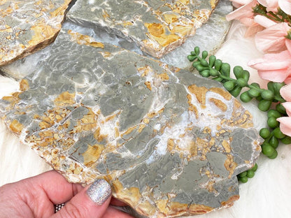 small-ibis-jasper-slices