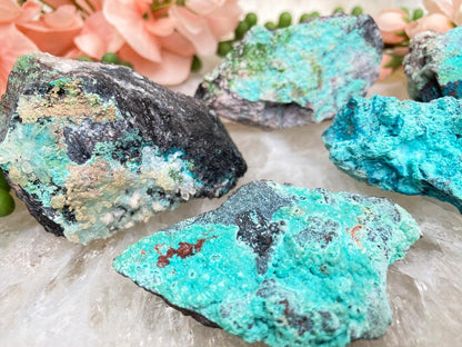 small-mexico-chrysocolla-shattuckite