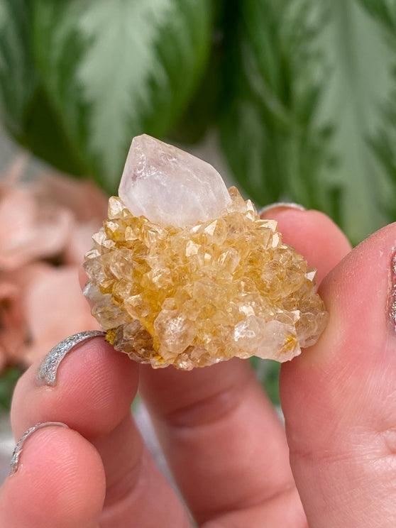 small-yellow-spirit-quartz