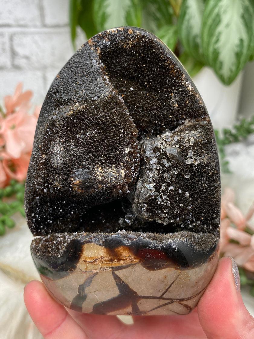 standing-black-septarian-egg