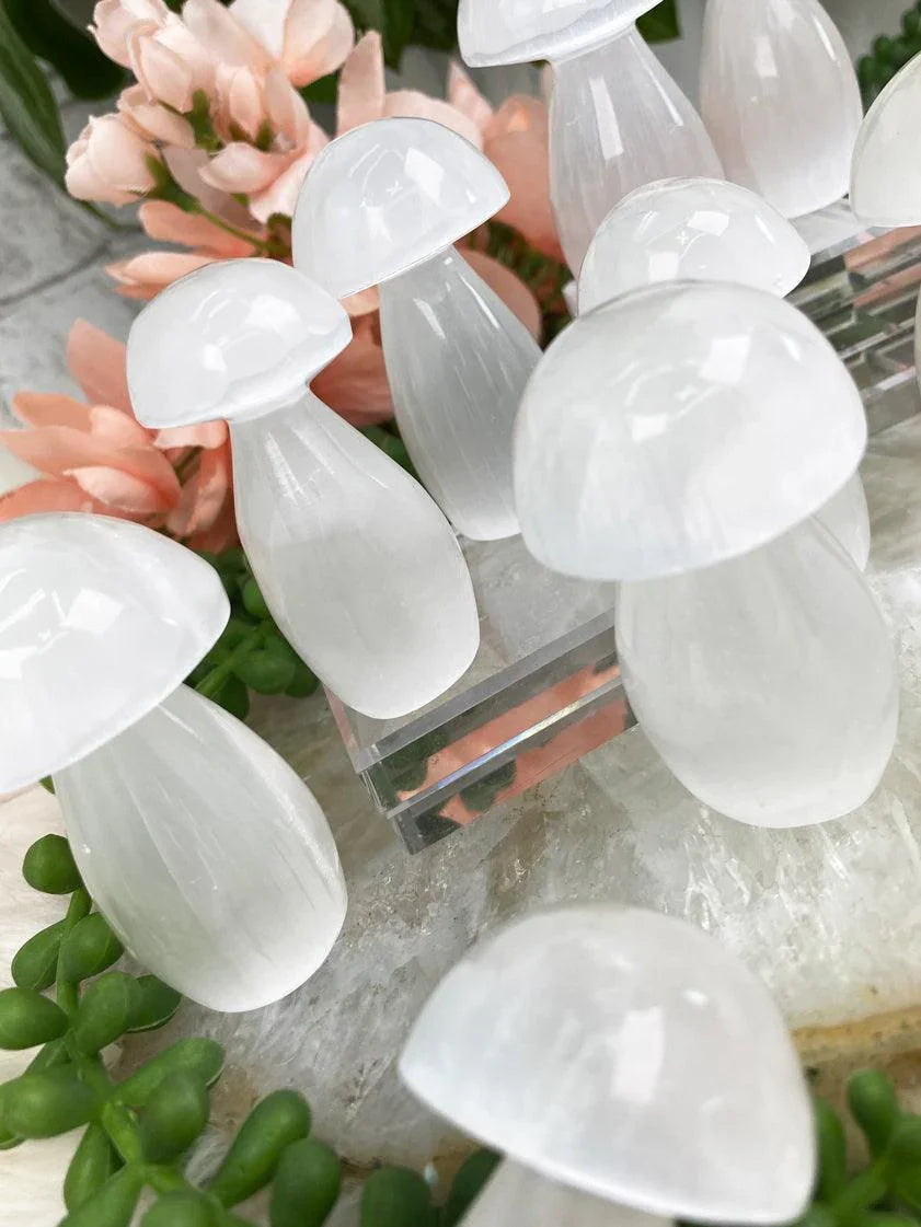 standing-selenite-mushroom