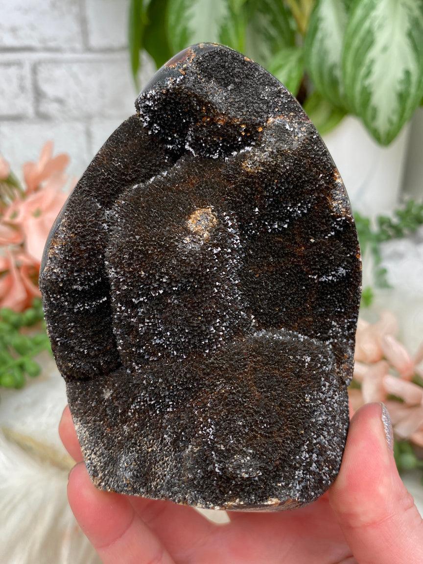 standing-septarian-egg