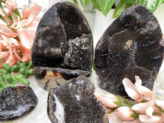    standing-septarian-eggs