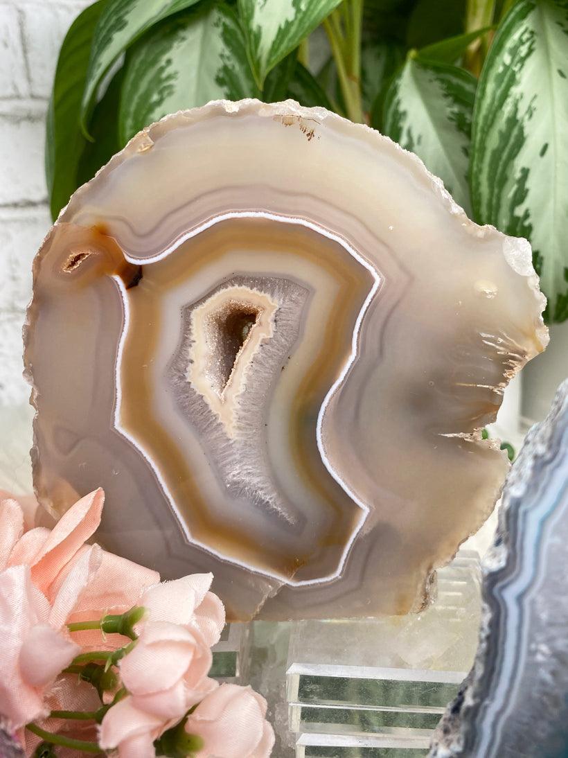 standing-tan-agate-slice